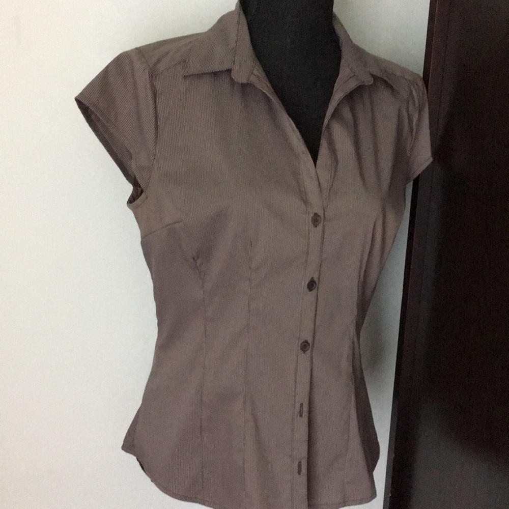 Purple& brown striped stretch knit button down